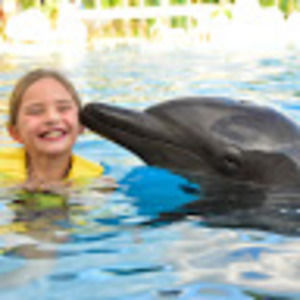 Meet your Posher, Riley